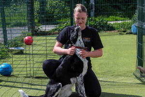 a dog getting a cuddle from DSPCA Pet hotel staff