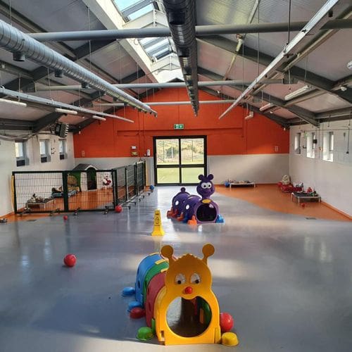 The Doggie Daycare indoor area
