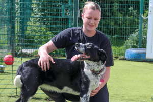 a dog getting a cuddle from DSPCA Pet hotel staff