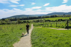 a happy dog getting a walk from a DSPCA Pet hotel staff member